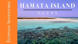 Red Sea Egypt Excursions  One day in Hamata Islands [upl. by Enelehs]