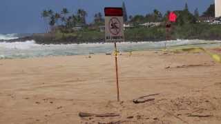 Super Swell Waimea Bay hit by 50 ft Waves on Big Wednesday [upl. by Adiana254]