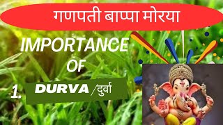 Ayurvedic Importance of Durva [upl. by Notgnirra183]