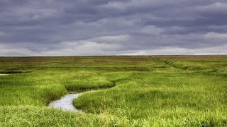 ¿Cuál es la diferencia entre MESETA LLANURA y DEPRESIÓN [upl. by Derreg79]