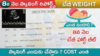 8వ నెల ప్రెగ్నన్సీ స్కాన్ Pregnancy 8 month Scan Telugu 32 Weeks Pregnancy Telugu [upl. by Rowney]