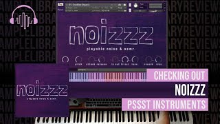 First Look NOIZZZ Playable Noises amp ASMR by Pssst Instruments [upl. by Harraf]