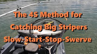 The 4S Method for Catching Big Stripers SlowStartStopSwerve [upl. by Iatnohs]