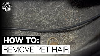 Easiest Way to Remove Pet Hair in Seconds  Chemicals Guys [upl. by Salbu]