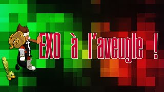 DOFUS 100 Tenta EXO à laveugle  10 [upl. by Riley578]