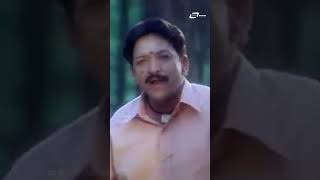 Kaveri Theeradali Baredenu shorts  Yajamana  Vishnuvardhan  Archana  Kannada Video Song shorts [upl. by Lekram]