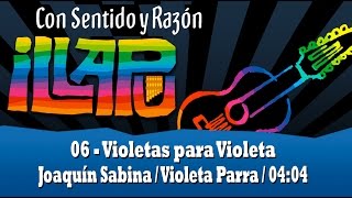 6 Violetas Para Violeta  Illapu  Con sentido y razón 2014 [upl. by Einwat]