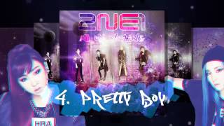 AON 04 Pretty Boy  2NE1 2NE1  2014 2NE1 World Tour Live  All Or Nothing In Seoul [upl. by Sherburn]