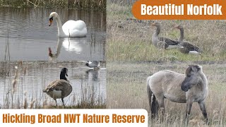 Hickling Broad NWT Nature Reserve [upl. by Evante615]