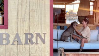 Renovating An Old Workshop Into My Horse Barn 🛠️ [upl. by Adien]