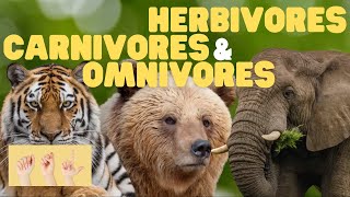 Learning About Herbivores Carnivores and Omnivores [upl. by Eseer]