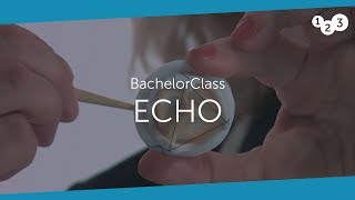 Echo BachelorClass  Your introduction to basic echocardiography [upl. by Eerehs]