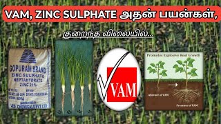 நெல் வயலில் zincsulphate VAM போடுவதனால் ஏற்படும் நன்மைகள்  Zincsulphate VAM used benefit [upl. by Lynnworth778]