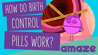 How Do Birth Control Pills Work [upl. by Aniteb]