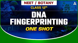 DNA FINGERPRINTING CLASS 12  NEET 2024  MOLECULAR BASIS OF INHERITANCE  BOTANY BY SANKALP BHARAT [upl. by Nuahsor]