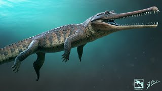 In the Cage of Death at Crocosaurus Cove [upl. by Trepur]