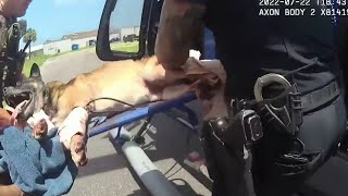 ‘Get him out of here now’ Bodycam shows moments officers save K9 shot while going after suspects [upl. by Ahsini76]