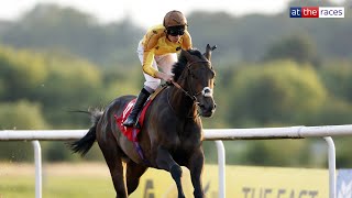 Reaching High son of Gold Cup hero Estimate BOLTS UP at Wolverhampton [upl. by Ettenyar]