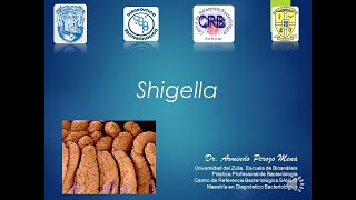 Tema 9 Shigella [upl. by Llebyram775]