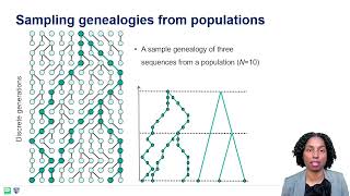 Phylodynamics 101 Coalescent Theory Recombination Reassortment [upl. by Denzil875]