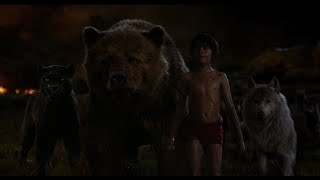 The Jungle Book 2016  Sherekhan VS Baloo amp Bagheera  Hollywood  MovieClips In Hindi HD [upl. by Eloisa]