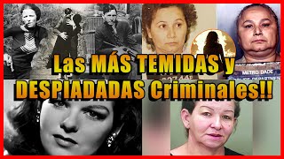 TOP 7 MUJERES Más TEMIDAS y PODEROSAS de la MAFIA [upl. by Annawal]