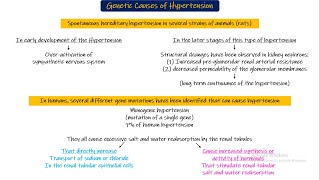 Genetic causes of hypertension Chapter 19 part 9 Guyton and Hall Physiology [upl. by Kashden]