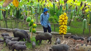 Vietnamese Farmers Farm How Vietnamese People Practice Agriculture [upl. by Berneta]