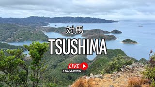 🔴LIVE 対馬  Tsushima  Early morning walk [upl. by Yemiaj]