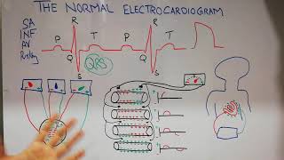 How to use ECG Feature on Apple Watch । Apple Watch पर ECG कैसे होता है । HINDI [upl. by Siegel238]