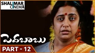 Pedababu Movie  Part 1214  Jagapathi Babu Kalyani  Shalimarcinema [upl. by Seys]