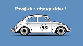 Projet  Choupette [upl. by Rosalinda126]