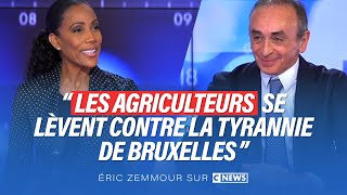 Eric Zemmour dans Face à lInfo  Les agriculteurs se lèvent contre la tyrannie de Bruxelles [upl. by Mikkanen33]