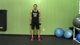 Dumbbell Hack Squat with Elevated Heels  HASfit Squat Exercise Demonstration  DB Hack Squat [upl. by Haibot]