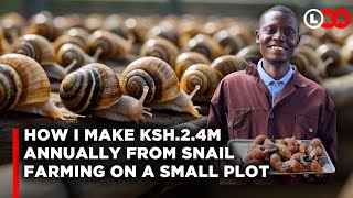 How snail farming in a small piece of land makes me great profits and why I cannot meet the demand [upl. by Aisital]