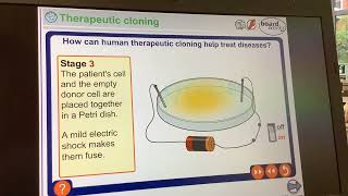 KS4GCSEBiologytherapeutic cloning [upl. by Eramat628]