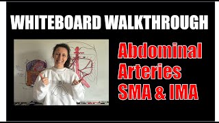 Whiteboard Walkthrough Abdominal Arteries SMA amp IMA [upl. by Balling]