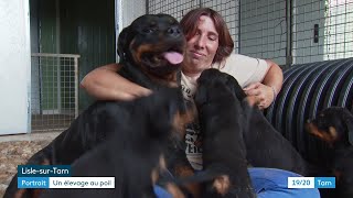 Eleveuse de chiens un métier exigeant mais exaltant [upl. by Leela446]