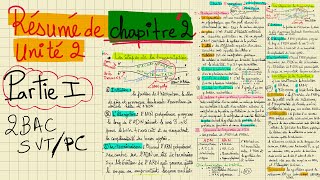 Résumé de PARTIE 01 de chapitre 2 unité 2 2bacsvtpc [upl. by Adar]