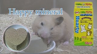 ハムスターのストレス解消にハッピーミネラル 【Hamster bite sand】Happy mineral [upl. by Eimarej755]