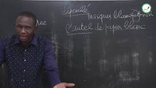 Cours  Seconde  Français  la négritude Texte dillustration prière au masque  Suite 3  M BA [upl. by Esinart]