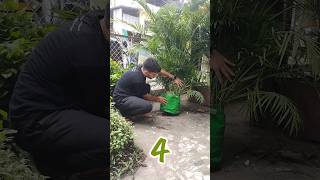 Magical homemade fertilizers  झूम उठेंगे पौधे बस ये जादूई चीजें डाल दो🥛🌿shorts viral gardening [upl. by Lauryn]