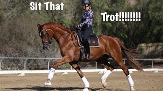 How To Do Rising Trot Posting Trot [upl. by Miguel349]