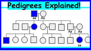 How to Read Pedigrees Modes of Inheritance [upl. by Atsirhcal]