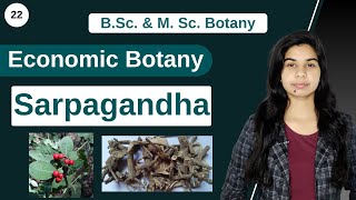 Economic Botany  Medicinal Plants  Sarpagandha  Rauvolfia serpentina  B Sc amp M Sc [upl. by Duwad]