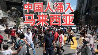 中国人疯狂涌入！马来西亚迎来大量中国移民 [upl. by Ginsburg393]