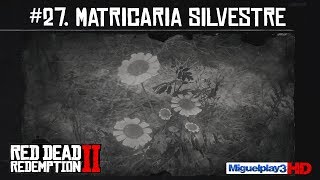 Localización Matricaria Silvestre  27Compendio Plantas  Red dead redemption 2 [upl. by Labina171]