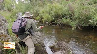 Ever wanted to see a professional Fly Fisherman work a stream [upl. by Kristos]