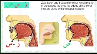 Makhraj No 1317  Makhraj of Zaa Seen amp Saad  Articulation Points of Arabic Letters [upl. by Sera266]