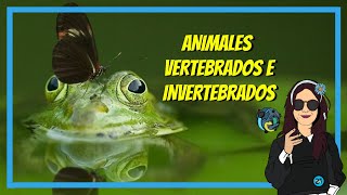 Los animales VERTEBRADOS e INVERTEBRADOS para NIÑOS ¿Cuáles son ¿Dónde viven Características 🐢🐻 🐞🦁 [upl. by Clari]